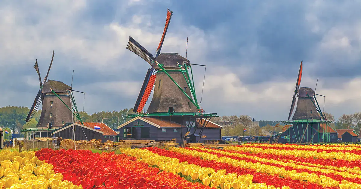 Nederlandse Dialecten Herkennen: Hoe AI het Doet in 2025